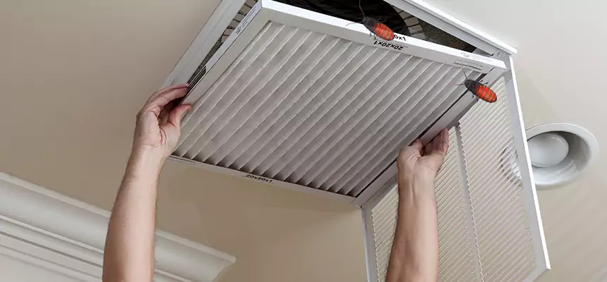 Preventive Cockroach-Proofing for Ducts in Riverside