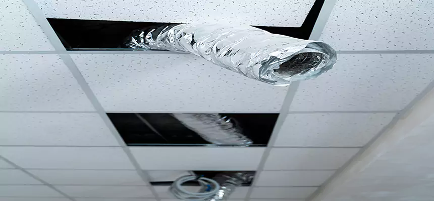 Affordable HVAC Sanitizing After Pest Removal in Riverside