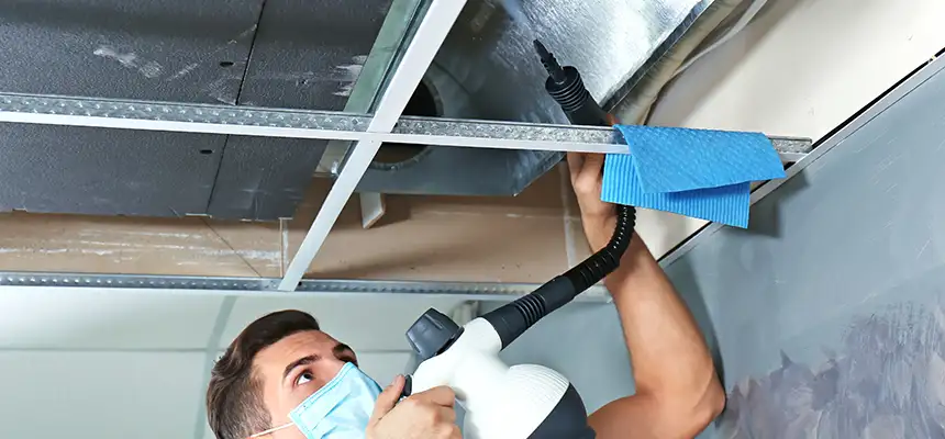 Our Air Duct Rodent Removal Services in Riverside, OH