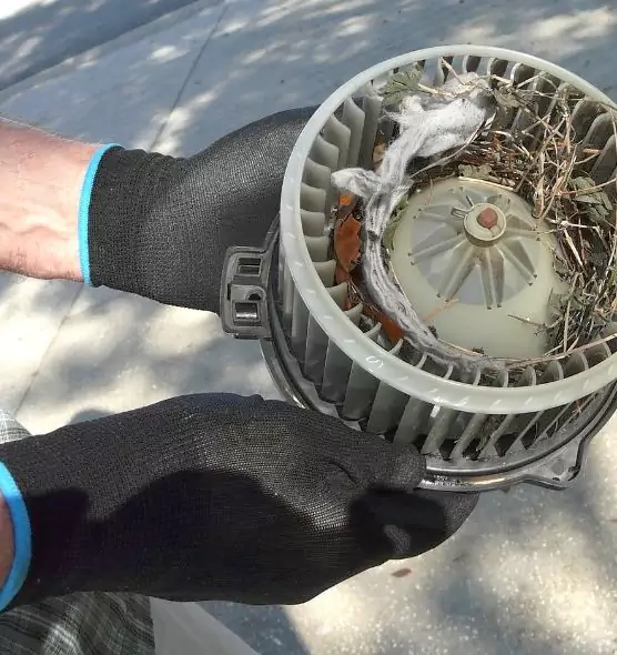 About Air Duct Mice Removal in Riverside, OH