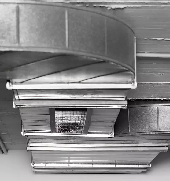 Professional Air Duct Pet Hair Removal in Riverside, OH