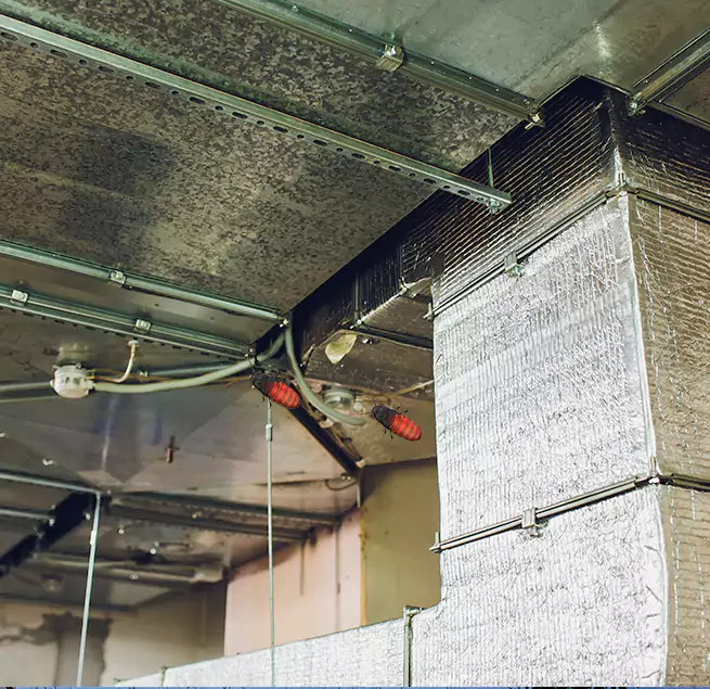 Why Homeowners & Businesses Trust Us Riverside, OH?